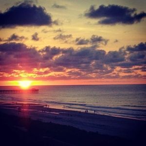 Meet your Posher, So